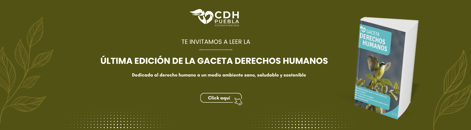 Gaceta Abril - Junio 2026