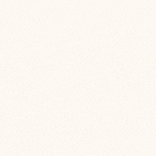 Procedimiento de Reclutamiento y Selección sin discriminación y con igualdad de oportunidades