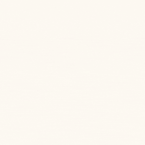 Formato para Permiso de Día de Cumpleaños