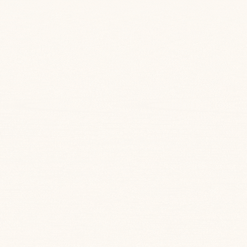 Procedimiento para la Solicitud de Licencia de Paternidad