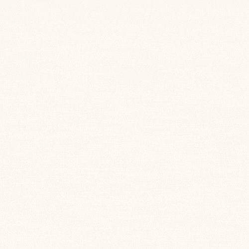 Procedimiento de Auditorias Internas